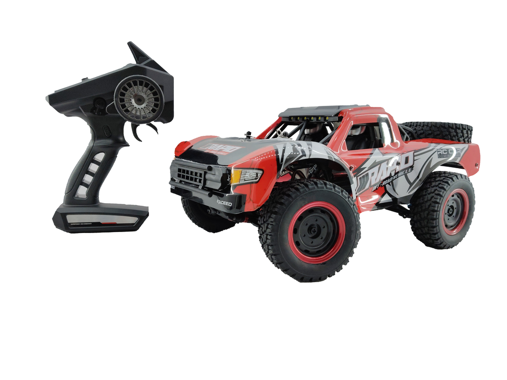 Reggies Premium Sandstorm RC Dune Racer 